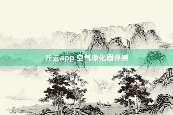 开云app 空气净化器评测