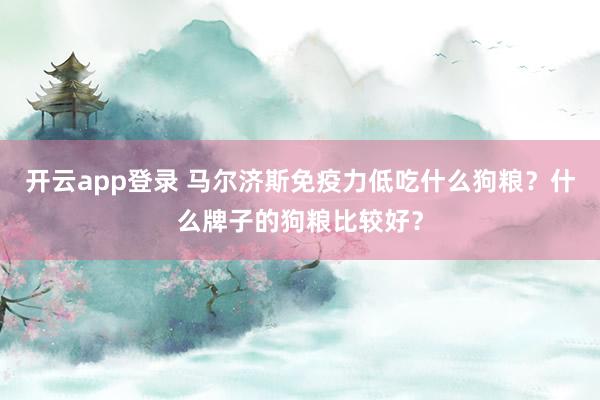 开云app登录 马尔济斯免疫力低吃什么狗粮？什么牌子的狗粮比较好？