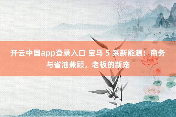 开云中国app登录入口 宝马 5 系新能源:商务与省油兼顾,老板的新宠