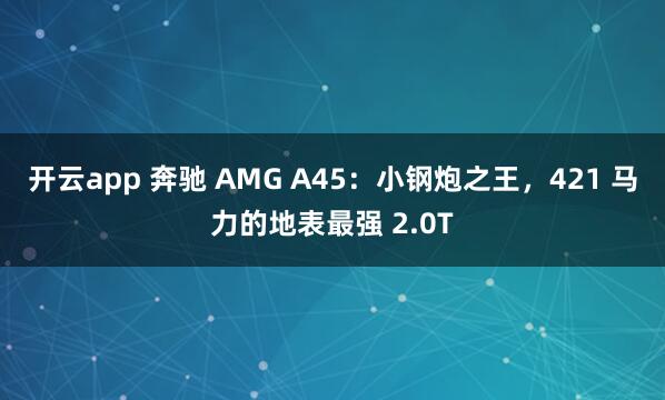 开云app 奔驰 AMG A45:小钢炮之王,421 马力的地表最强 2.0T