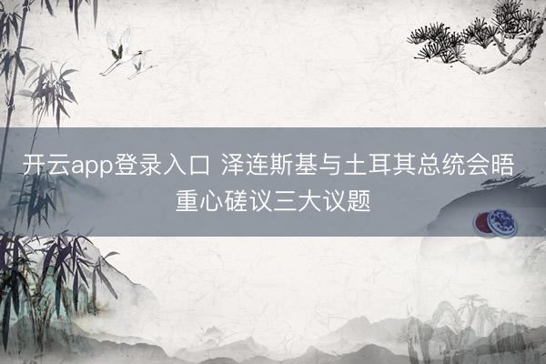 开云app登录入口 泽连斯基与土耳其总统会晤 重心磋议三大议题