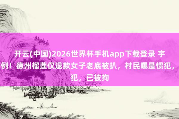 开云(中国)2026世界杯手机app下载登录 宇宙第一例!德州榴莲仅退款女子老底被扒,村民曝是惯犯,已被拘