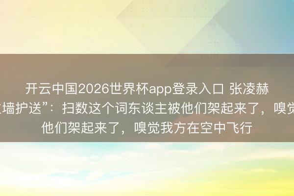 开云中国2026世界杯app登录入口 张凌赫恢复“保镖东谈主墙护送”:扫数这个词东谈主被他们架起来了,嗅觉我方在空中飞行