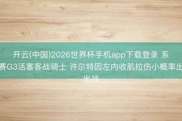 开云(中国)2026世界杯手机app下载登录 系列赛G3活塞客战骑士 许尔特因左内收肌拉伤小概率出战